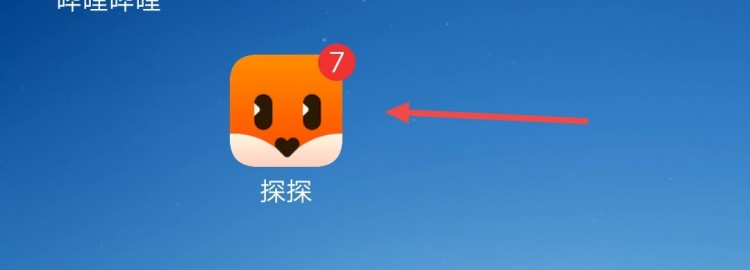 45.0版本探探怎么注销账号?